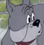 CCL的个人资料头像