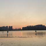 喜闻乐见vlog头像