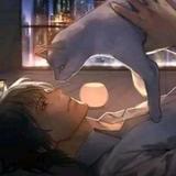 梁少影片头像