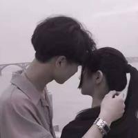 迷路的初阳头像