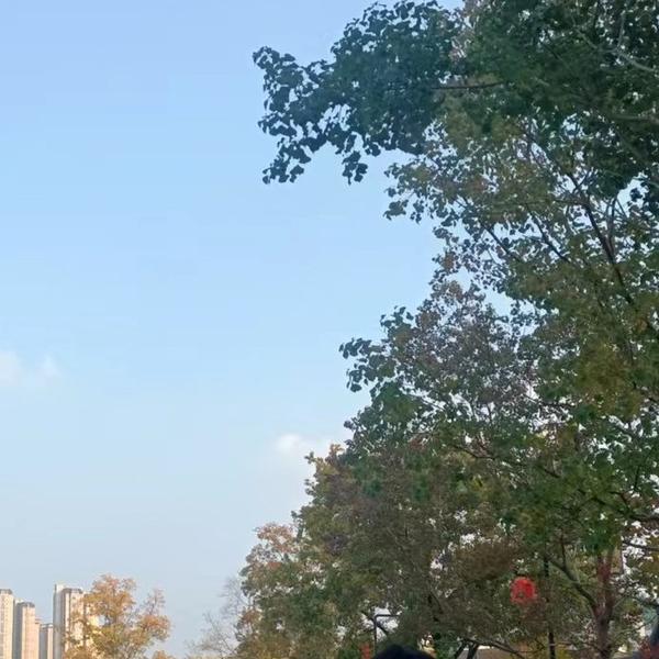 生活解读君头像