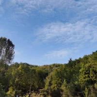 北斗七星老七头像