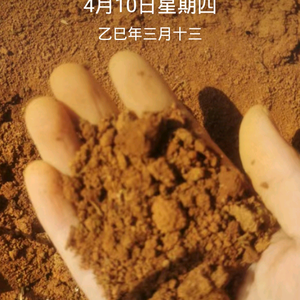 善良讲故事（阿坤）头像