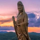 普陀山小桥🙏头像