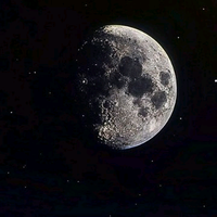 夜游猫星人头像