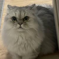 瞎看胡弄8头像