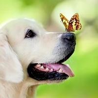 DF哥的世界你不懂头像