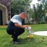 征程90636166头像