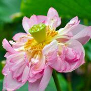 一笑倾人城的个人资料头像