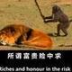 小(⊙o⊙)哇头像