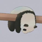 维W达的个人资料头像