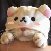 与时舒卷的个人资料头像