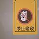 热爱祖国1997头像