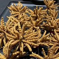 往后余生2357619360235头像