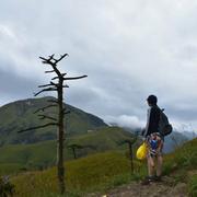 用户6353390502243的个人资料头像