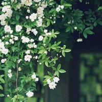 慢慢从新开始620头像