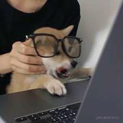 清爽的风的个人资料头像