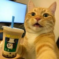 另一个亚当头像