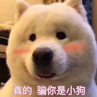 TwistFate丶128头像