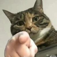 牽左手不離19头像