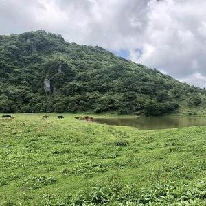 山那邊是條河头像