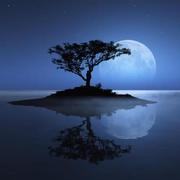 丿一盏孤灯丿的个人资料头像