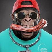 sxasdcsa的个人资料头像