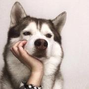 小硕195的个人资料头像