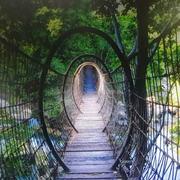 破空的个人资料头像