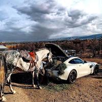 观看汽车圈头像