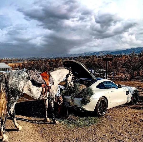 观看汽车圈头像