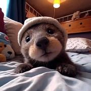 早睡早起身体倍儿棒的个人资料头像