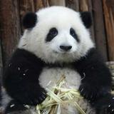 小赵的CC头像