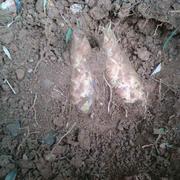 小妹子逛街的个人资料头像