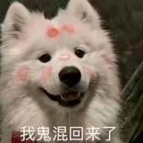街洗卡头像