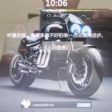 狄道马头像