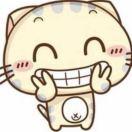 Duying的个人资料头像