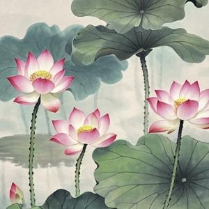 舒瀚仪头像