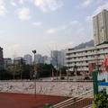浪尼小白头像