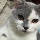 用户9235754559907头像