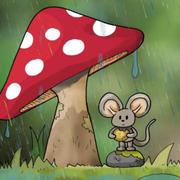 JasonWang725的个人资料头像