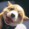小橙子的老父亲头像