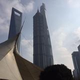 锋行天下5095头像