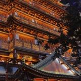 往事不堪回首538头像