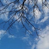 欲走ざ还留头像