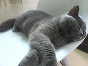 Luy同学的个人资料头像