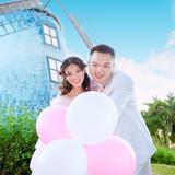 奋发有为的艾宝头像