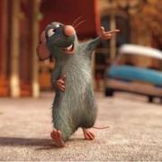 ski的个人资料头像