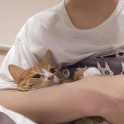 JokerDJ的个人资料头像