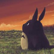 wszxdhr的个人资料头像